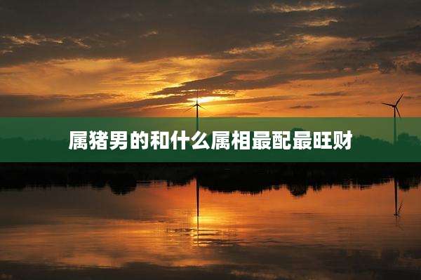 属猪男的和什么属相最配最旺财