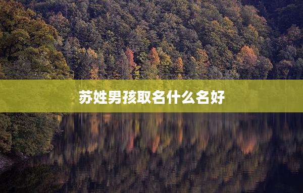 苏姓男孩取名什么名好