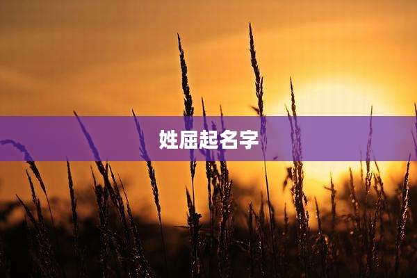 姓屈起名字