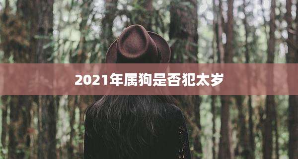 2021年属狗是否犯太岁