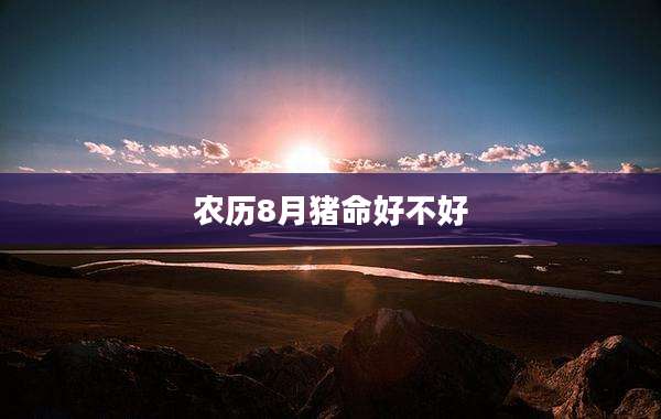 农历8月猪命好不好