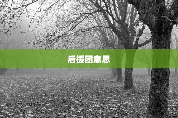 后援团意思