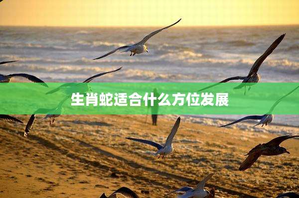 生肖蛇适合什么方位发展