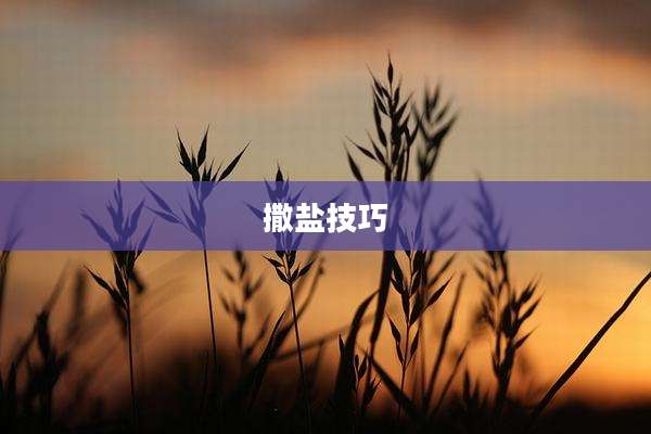 撒盐技巧