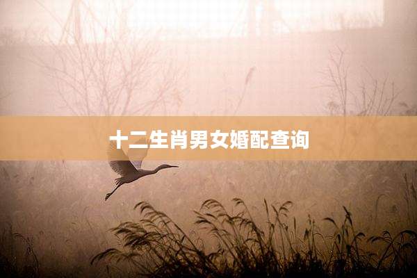 十二生肖男女婚配查询