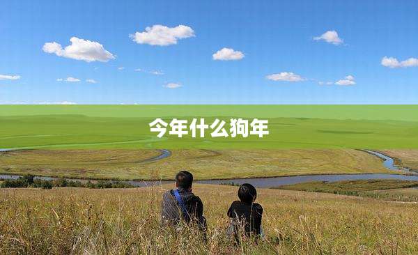 今年什么狗年