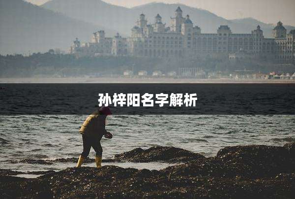孙梓阳名字解析