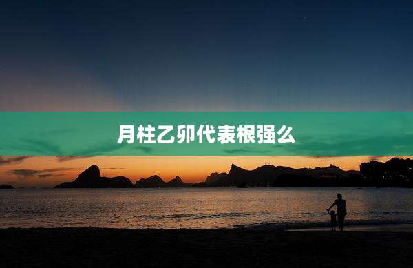 月柱乙卯代表根强么