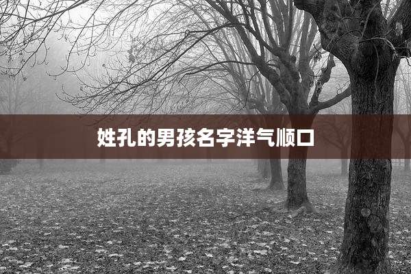 姓孔的男孩名字洋气顺口