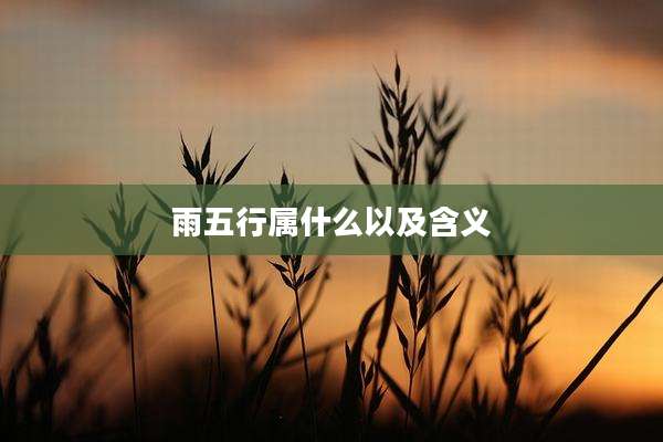 雨五行属什么以及含义