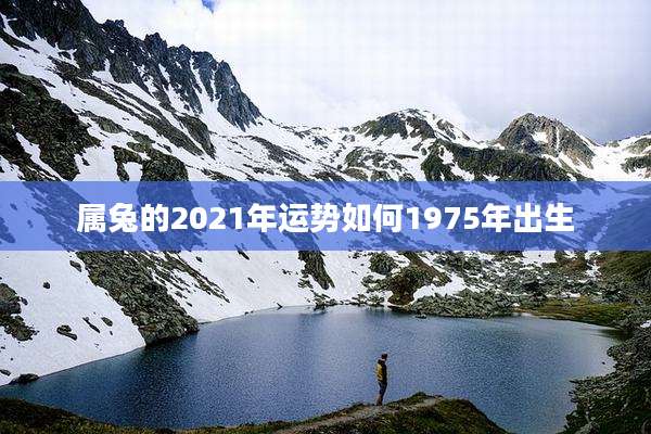 属兔的2021年运势如何1975年出生