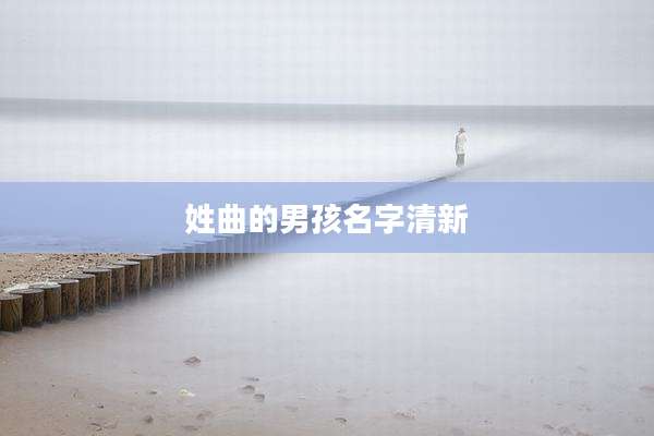 姓曲的男孩名字清新