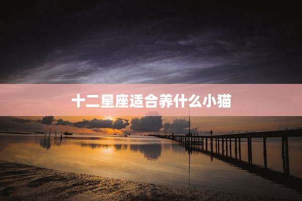 十二星座适合养什么小猫