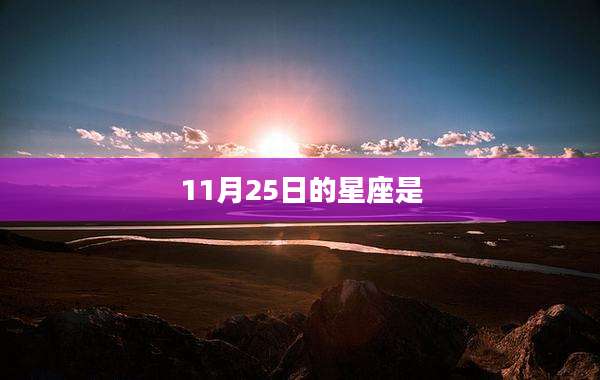 11月25日的星座是