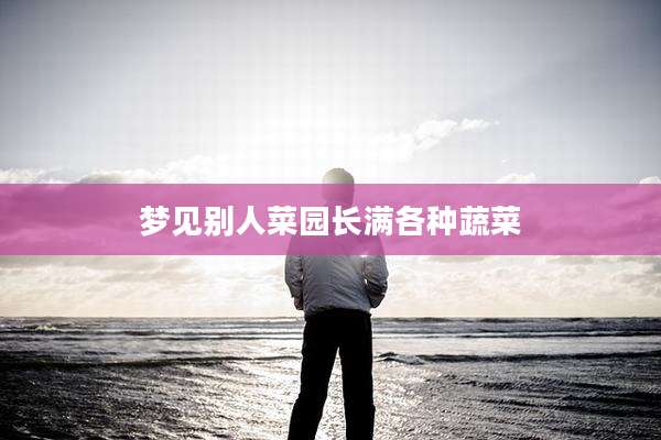 梦见别人菜园长满各种蔬菜
