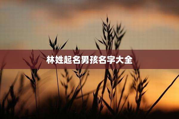 林姓起名男孩名字大全