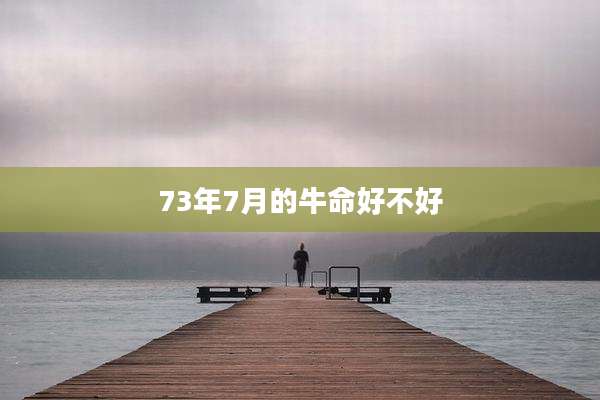 73年7月的牛命好不好