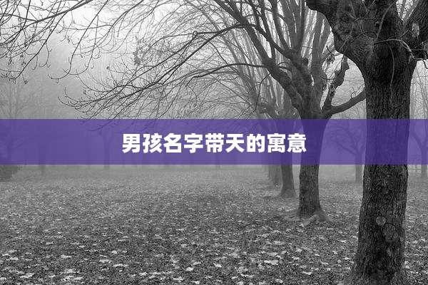 男孩名字带天的寓意