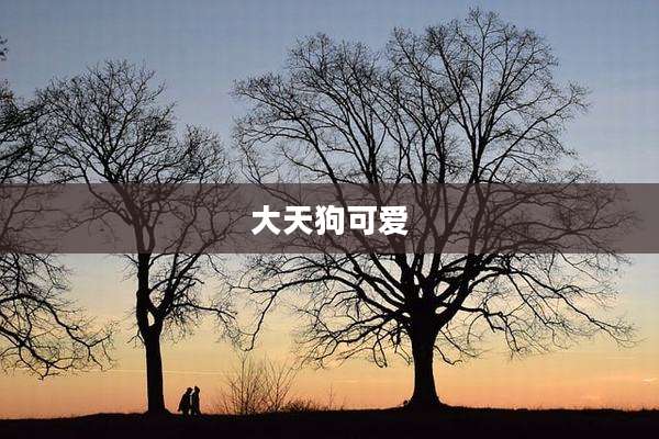 大天狗可爱