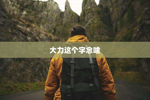 大力这个字念啥