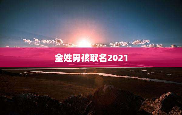 金姓男孩取名2021