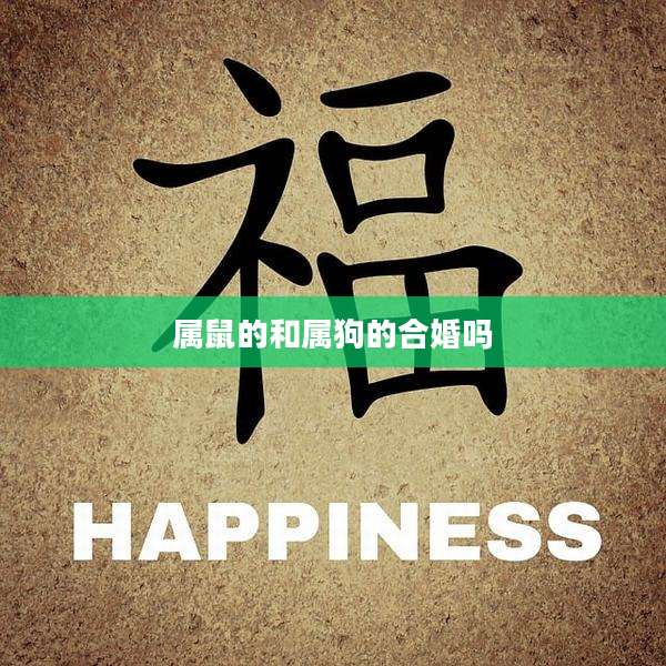属鼠的和属狗的合婚吗
