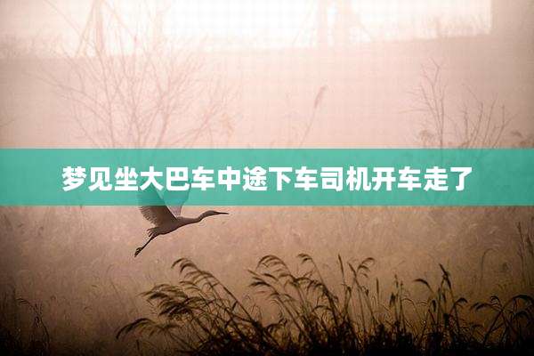 梦见坐大巴车中途下车司机开车走了