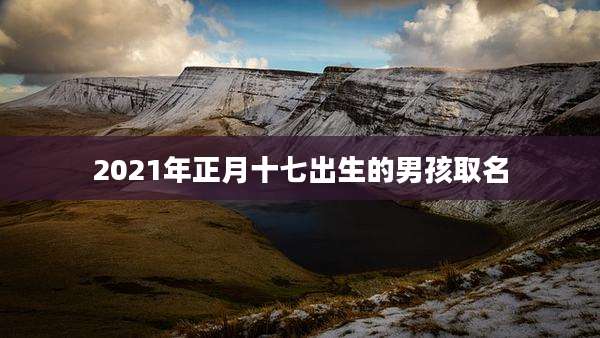 2021年正月十七出生的男孩取名