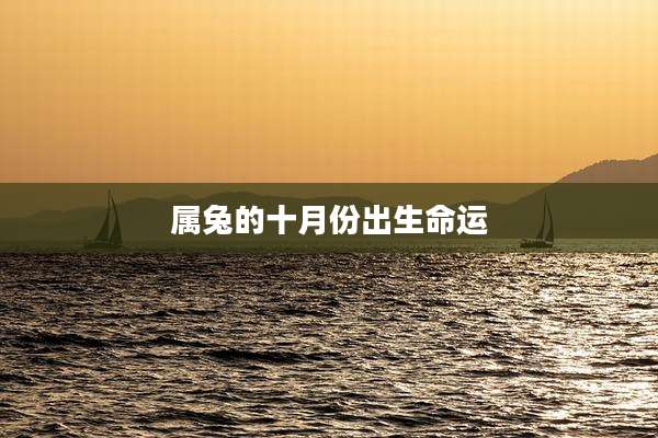 属兔的十月份出生命运
