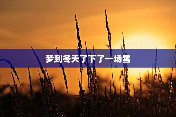 梦到冬天了下了一场雪