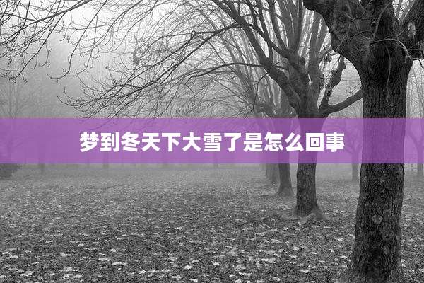 梦到冬天下大雪了是怎么回事