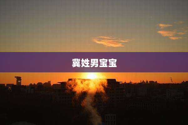 冀姓男宝宝