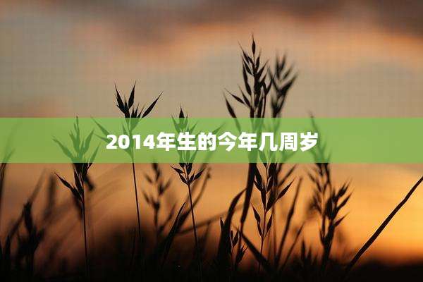 2014年生的今年几周岁