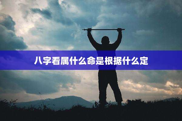 八字看属什么命是根据什么定