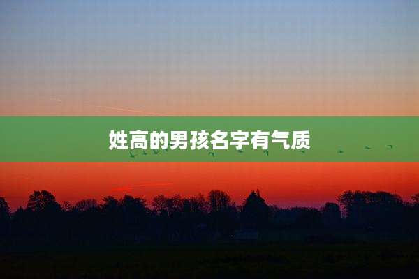 姓高的男孩名字有气质
