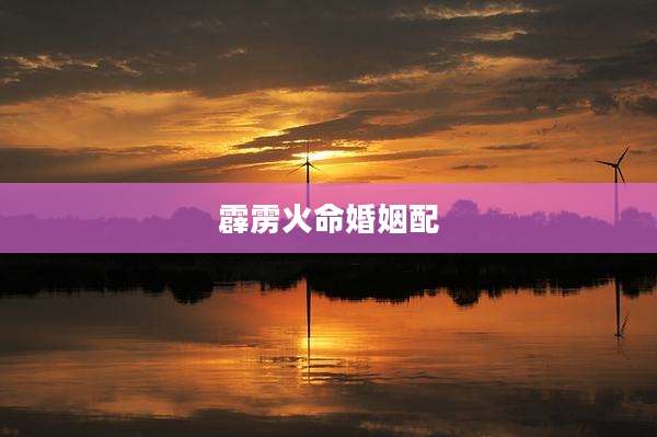 霹雳火命婚姻配