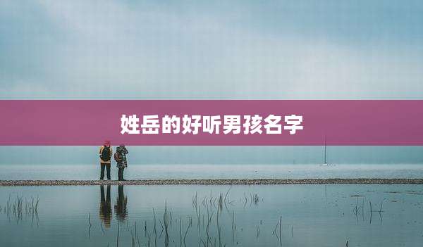 姓岳的好听男孩名字