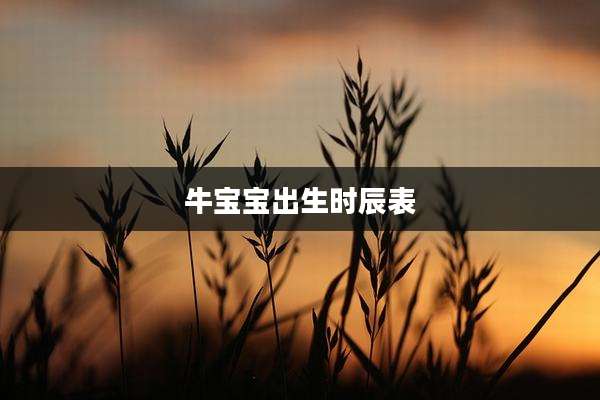 牛宝宝出生时辰表