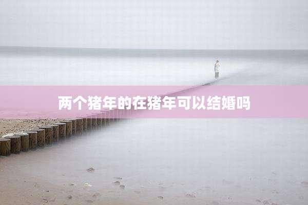 两个猪年的在猪年可以结婚吗