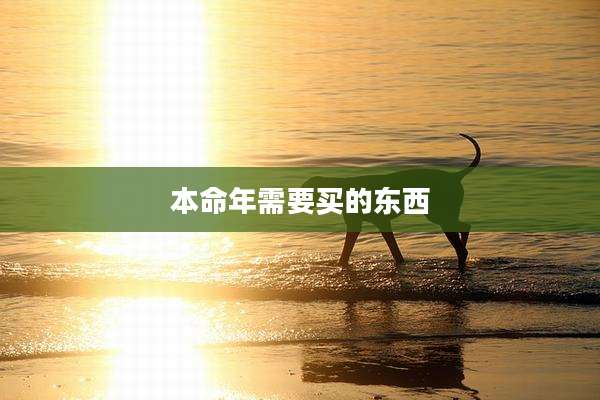 本命年需要买的东西