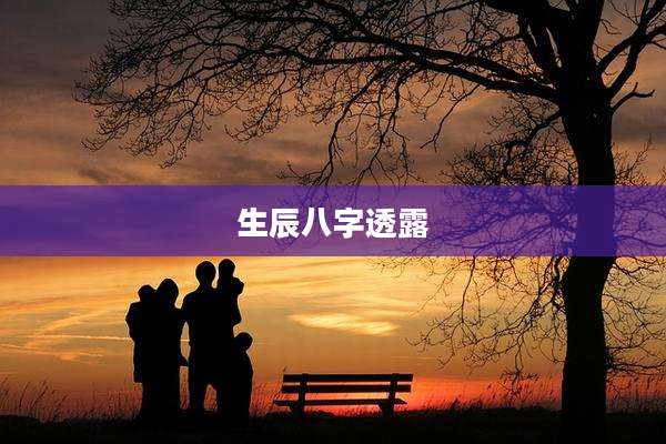 生辰八字透露