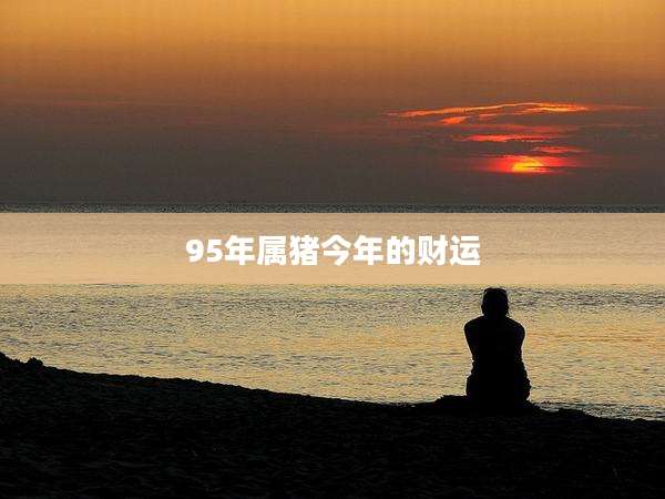 95年属猪今年的财运