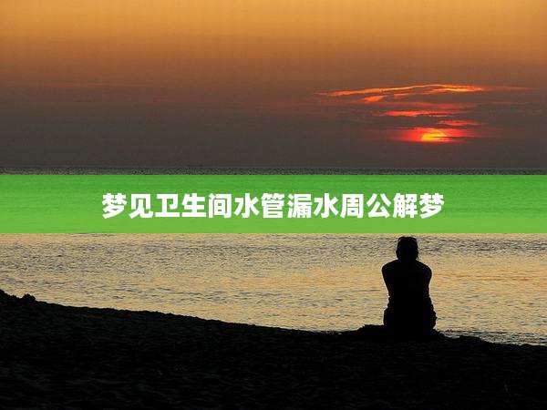 梦见卫生间水管漏水周公解梦