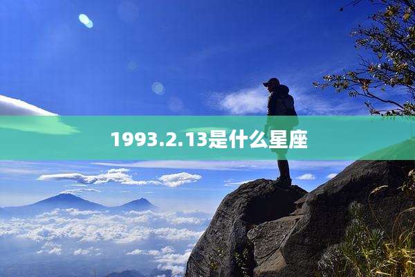 1993.2.13是什么星座