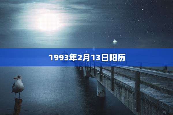 1993年2月13日阳历