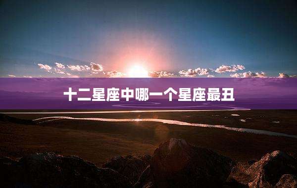 十二星座中哪一个星座最丑