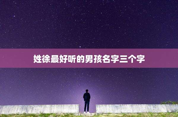 姓徐最好听的男孩名字三个字
