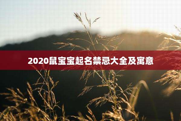 2020鼠宝宝起名禁忌大全及寓意