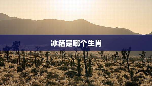 冰箱是哪个生肖