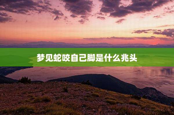 梦见蛇咬自己脚是什么兆头